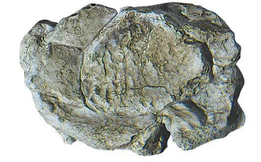 WSCWL-C1237: Gietvorm (12,7 x 17,8 cm) voor groot rotsblok (Wind Rock)